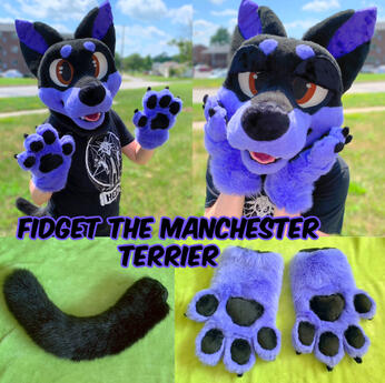 Fidget (mini partial)- July 2022