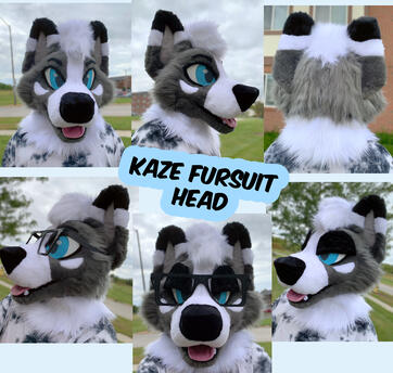 Kaze (head)- Sept 2022