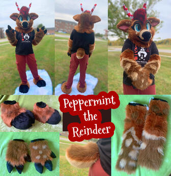 Peppermint (full partial)- Oct 2022