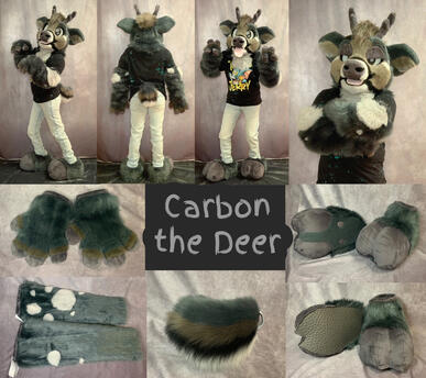 Carbon (full partial + extra feetpaws)- Aug 2023