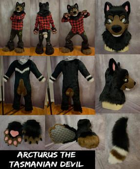 Arcturus (fullsuit)- Oct 2023