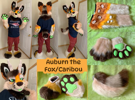 Auburn (full partial)- Mar 2023