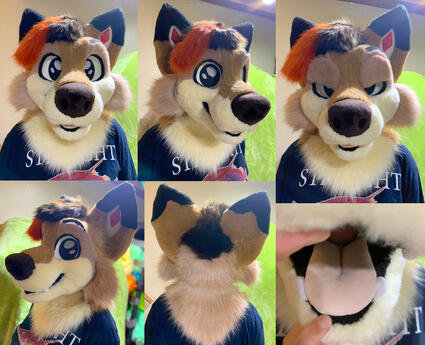 Tony (head)- May 2023