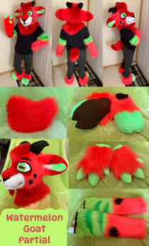 Watermelon Goat (full partial)- Feb 2023