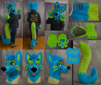 Dop (full partial)- Dec 2023