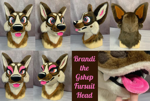 Brandi (head)- Sept 2024