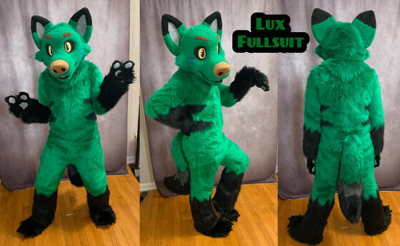 Luxtricity (fullsuit upgrade)- Feb 2024