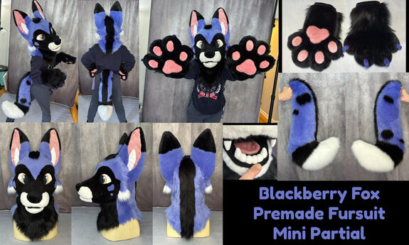 Blackberry Fox (mini partial)- July 2025