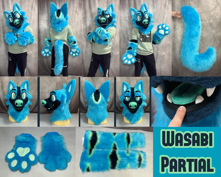Wasabi (mini partial + Armsleeves)- May 2025