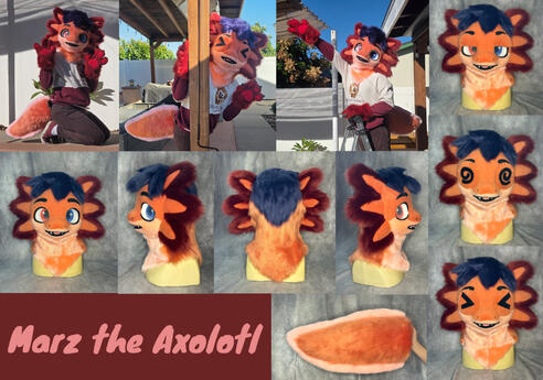 Marz (mini partial)- Oct 2025