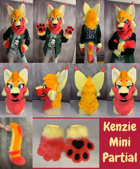 Kenzie (mini partial)- Jan 2025