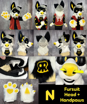 N (head + handpaws)- Feb 2026